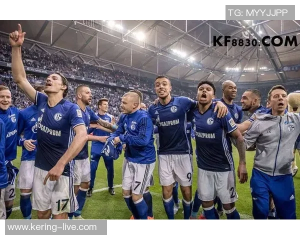 德甲激战沙尔克迎战弗赖堡争夺关键积分之战 德甲激战沙尔克迎战弗赖堡争夺关键积分之战